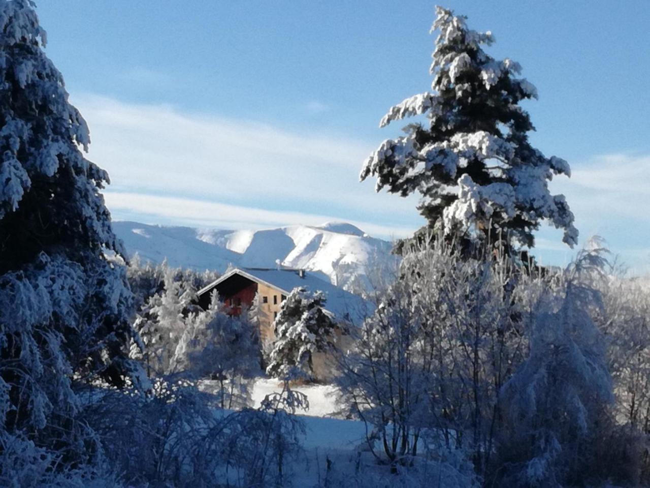ホテル Domaine De L'Adoux モンクラール エクステリア 写真